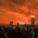 Got Photos Of New York?