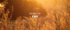 “Let There Be Life” Parker Green – Podcast