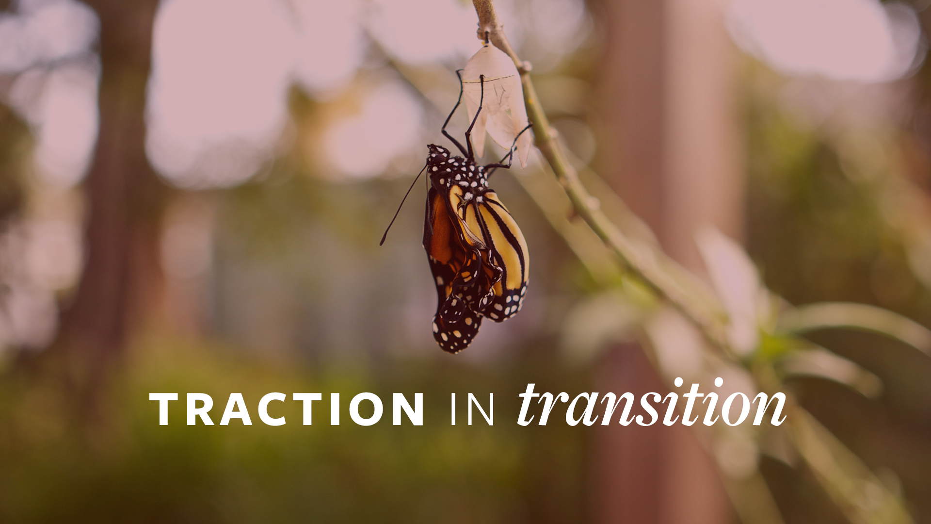 060516_Traction in Transition_Nicole_Reyes
